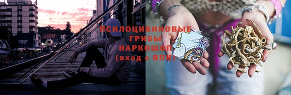 apvp Алексеевка