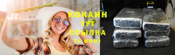 тгк Алзамай