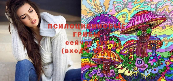 тгк Алзамай